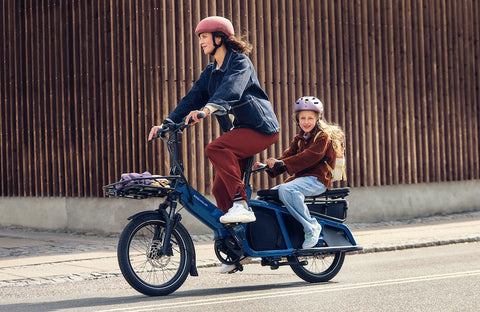 Riese & Müller Multicharger / Lastenrad / Kindertransport