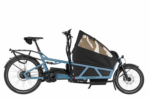 Das Riese & Müller Load 60