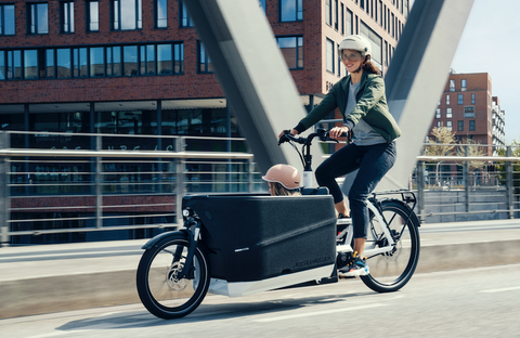 Das Riese & Müller Packster2 70