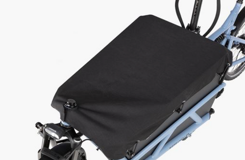 Das Riese & Müller Load 60