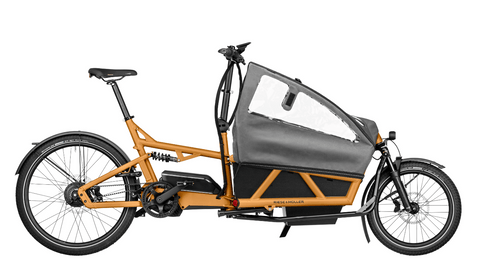 Das Riese & Müller Load 60