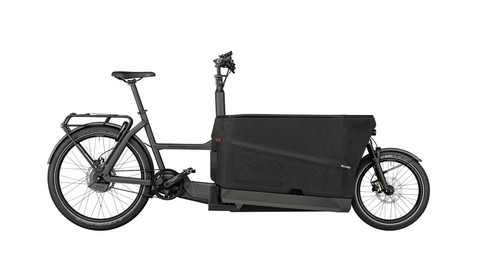 Das Riese & Müller Packster2 70