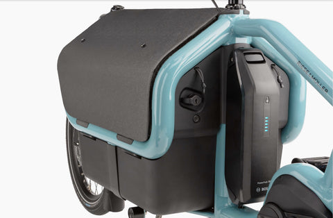 Riese & Müller Carrie