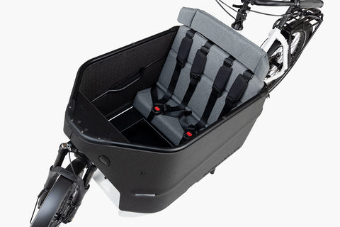 Das Riese & Müller Packster2 70