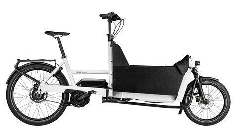 Das Riese & Müller Transporter2 65