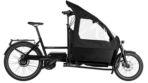 Das Riese & Müller Transporter2 65