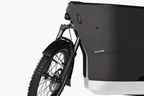 Riese & Müller Packster 2 70 vario // Doppel-Kindersitz, Buggy-Funktion Comfort Kit u.v.m.