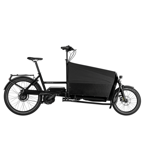 Das Riese & Müller Transporter2 65