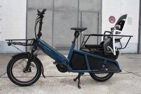 Hamax Caress child bike seat