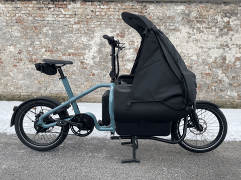 Riese & Müller Carrie vario