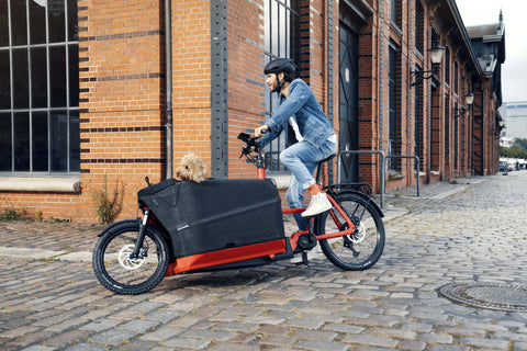 Riese & Müller Packster 70 Vario // Doppel-Kindersitz, Kinderverdeck u. v. m.