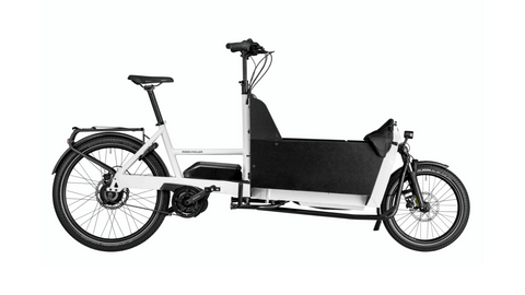 Riese & Müller Transpoter 65: Hunde-Bike