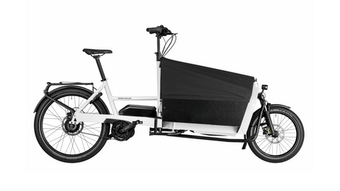Riese & Müller Transpoter 65: Hunde-Bike