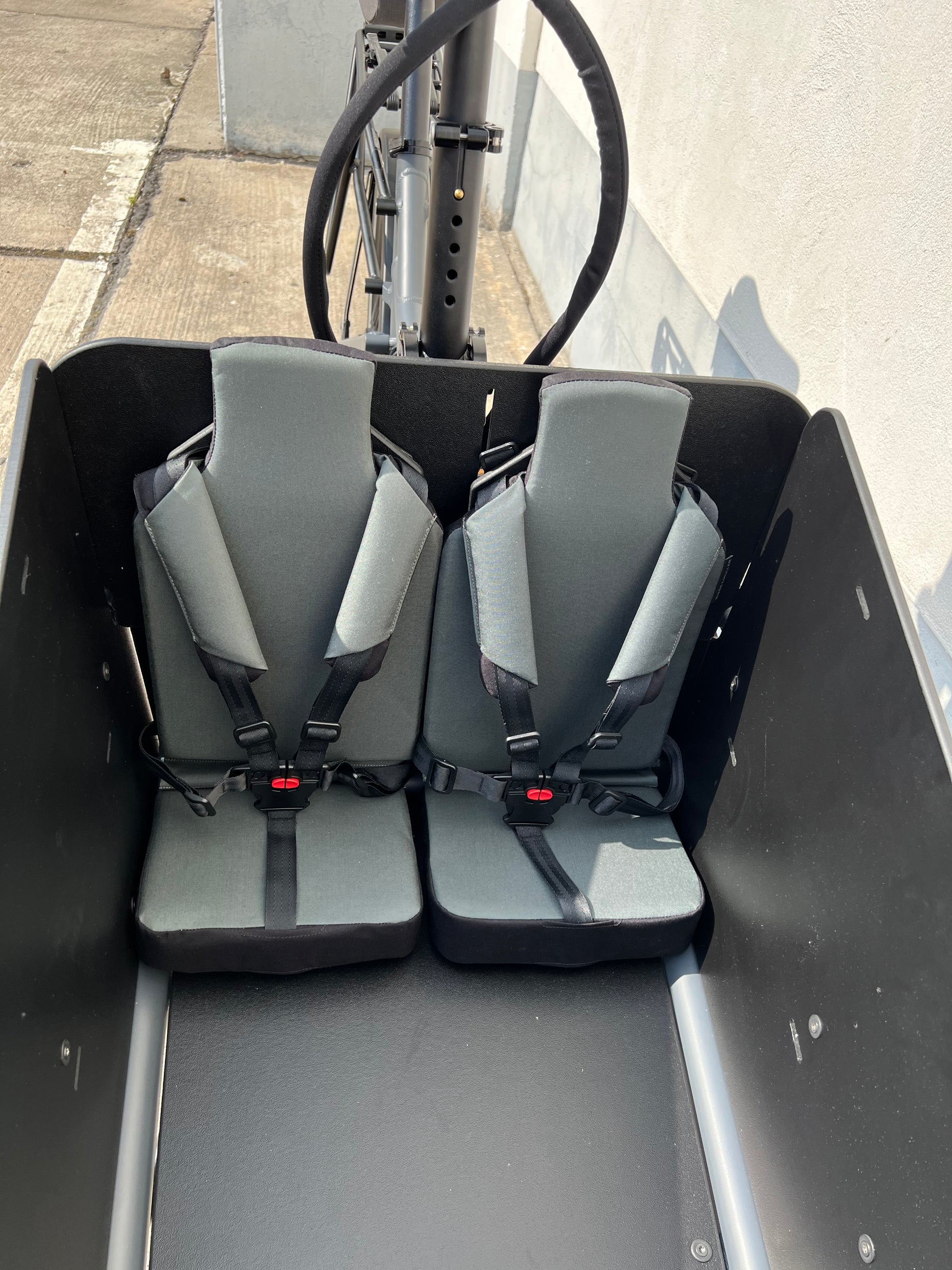Riese & Müller Einzelkindersitz Load 60, Load 75, Packster MORE Cargobike