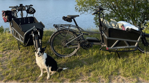 Für die liebsten Vierbeiner: