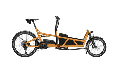 Riese & Müller Load5 60 touring