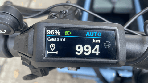 Riese & Müller Load5 75 vario - arctic