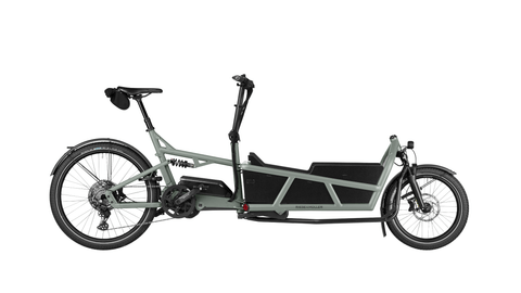 The Riese & Müller Load5 75 vario