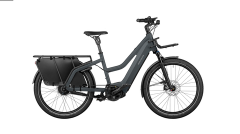 Riese & Müller Multicharger2 Mixte GT vario