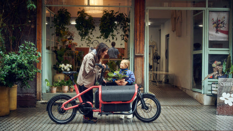 Die Profis für Riese & Müller Lastenräder.