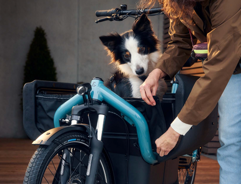 Riese & Müller Carrie: Hunde-Bike