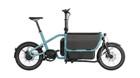 Riese & Müller Carrie vario