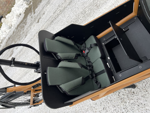 Riese & Müller Load4 60 EASY