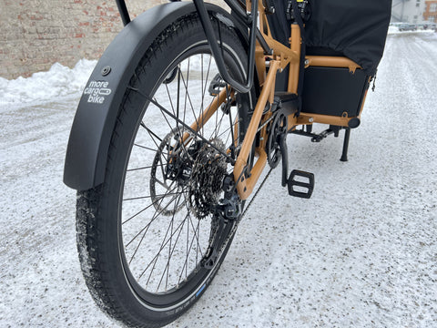 Riese & Müller Load4 75 EASY