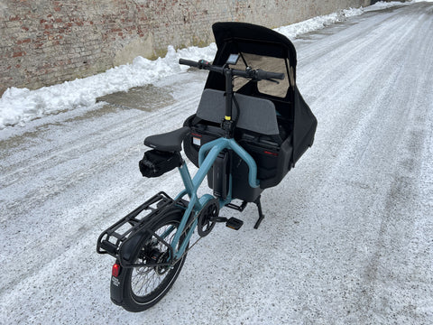 Riese & Müller Carrie EASY