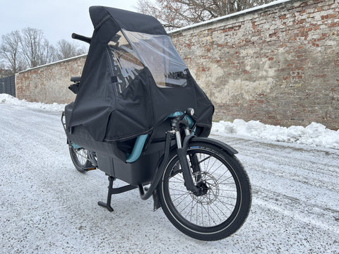 Riese & Müller Carrie EASY