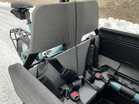 Riese & Müller Carrie EASY