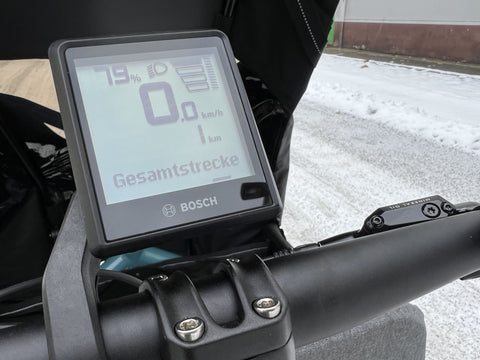 Riese & Müller Carrie EASY