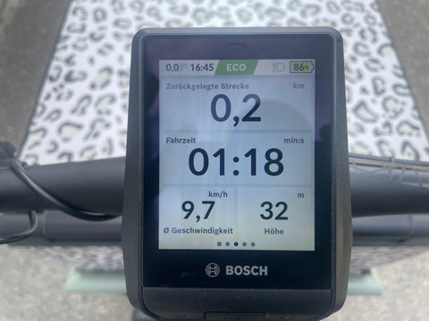 Riese & Müller Load 60 Rohloff mit MORE CARGOBOX  – Testrad