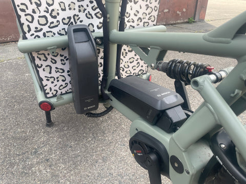 Riese & Müller Load 60 Rohloff mit MORE CARGOBOX  – Testrad