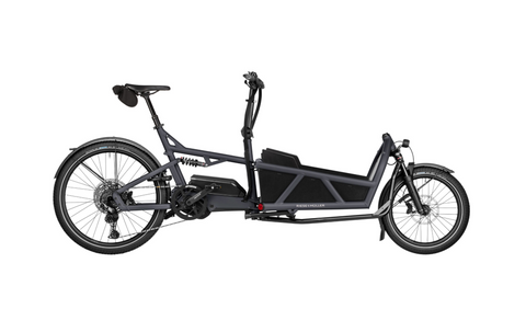 Riese & Müller Load 60: Hunde-Bike