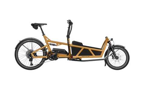 Riese & Müller Load 60: Hunde-Bike