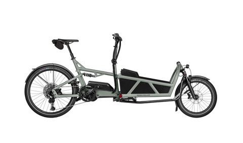 Riese & Müller Load 60: Hunde-Bike