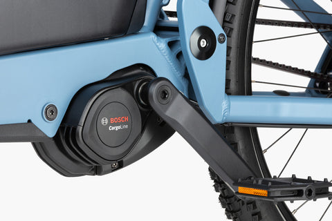 Riese & Müller Load 60: Hunde-Bike