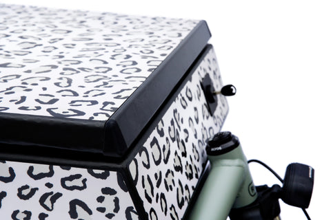 MORE CARGOBOX x Load 75