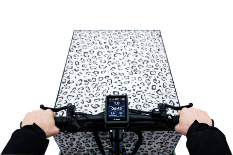 MORE CARGOBOX x Load 75