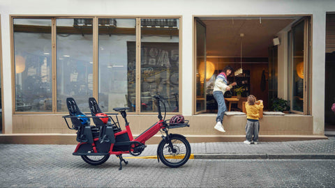 Die Profis für Riese & Müller Lastenräder.