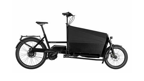Riese & Müller Transpoter 65: Hunde-Bike
