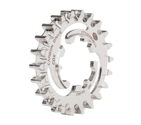 Riemenscheibe hinten, 22T, Enviolo